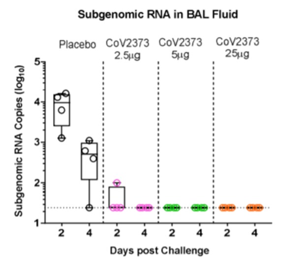 Measurement of viral RNA after intratracheal (2A) and intranasal (2B) viral challenge in immunized macaques vs placebo.