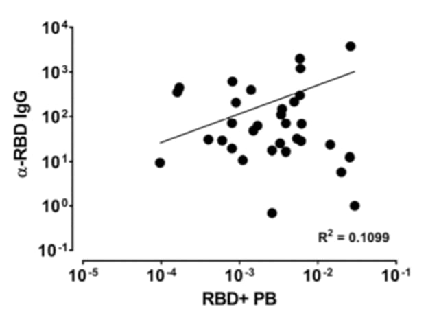Correlation between memory B cell plasmablasts and level of IgG in 31 patients.