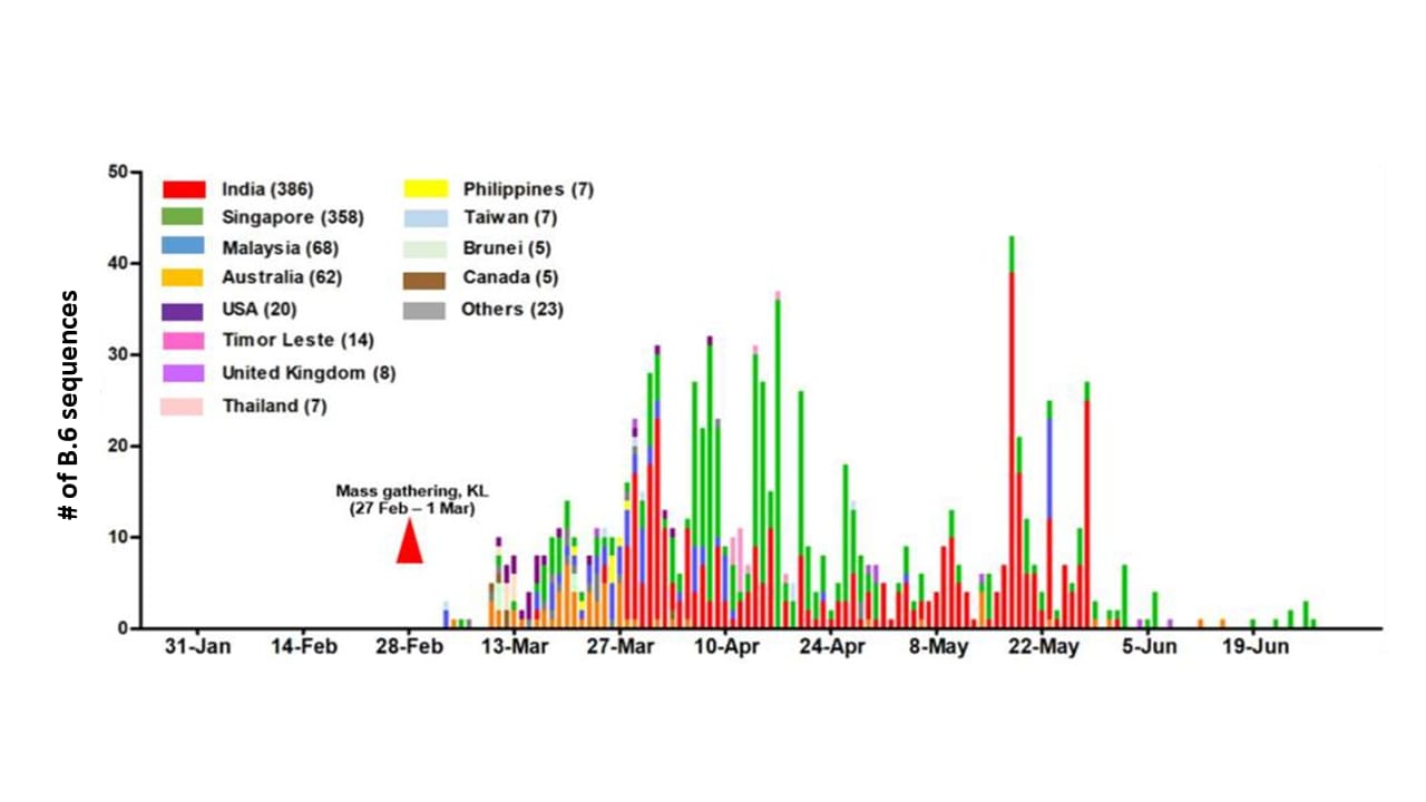 The number of B.6 lineage virus sequences per country as reported to a global database.