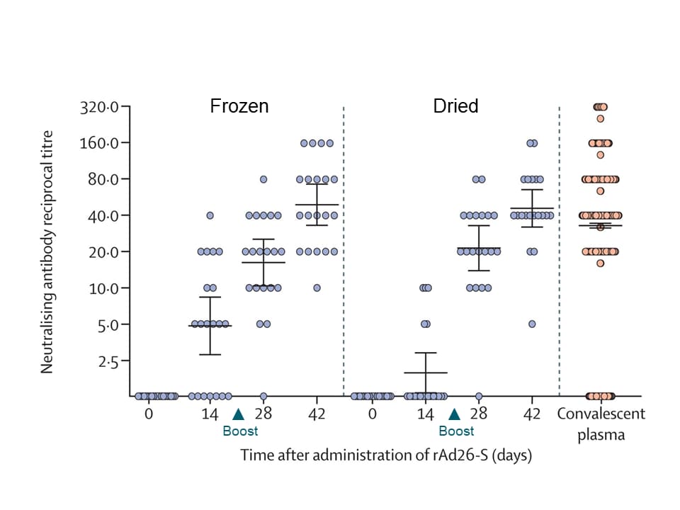 Neutralizing antibody levels at days after the first vaccine administration, with the heterologous boost of the other Ad-S at day 21 compared to convalescent plasma from individuals recovered COVID-19.
