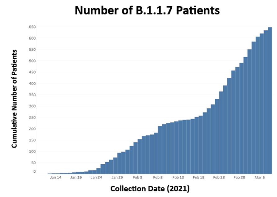 Chart showing number of B.1.1.7 cases