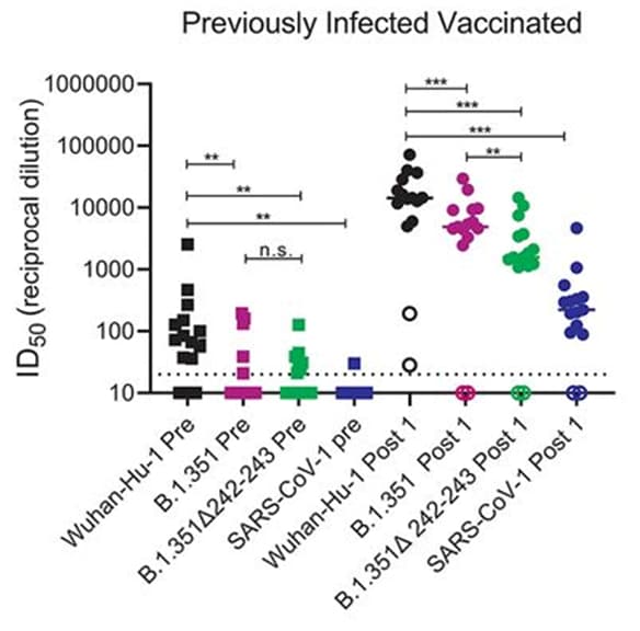 Graph showing sera from previously infected unvaccinated people