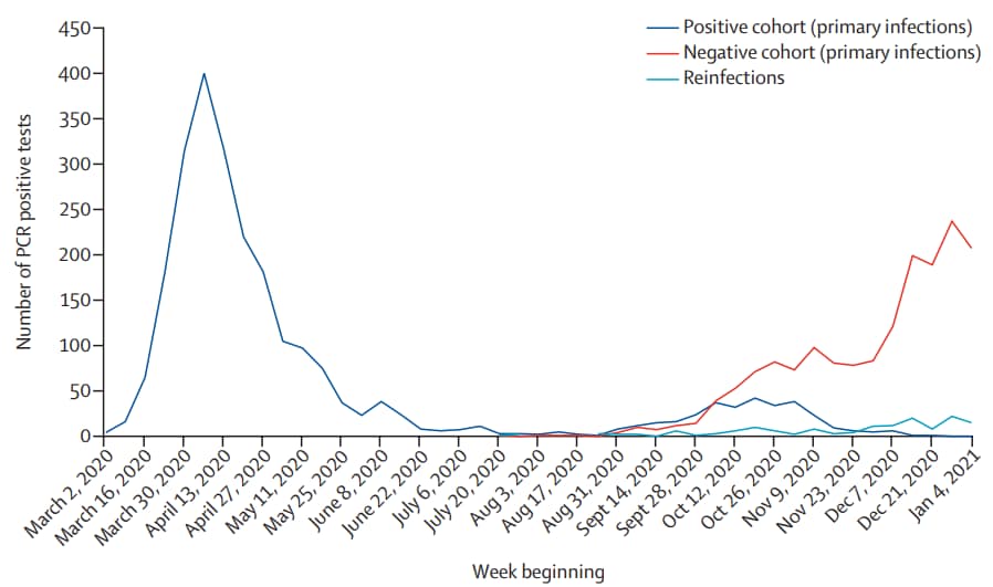 Chart showing number of primary infections and reinfections