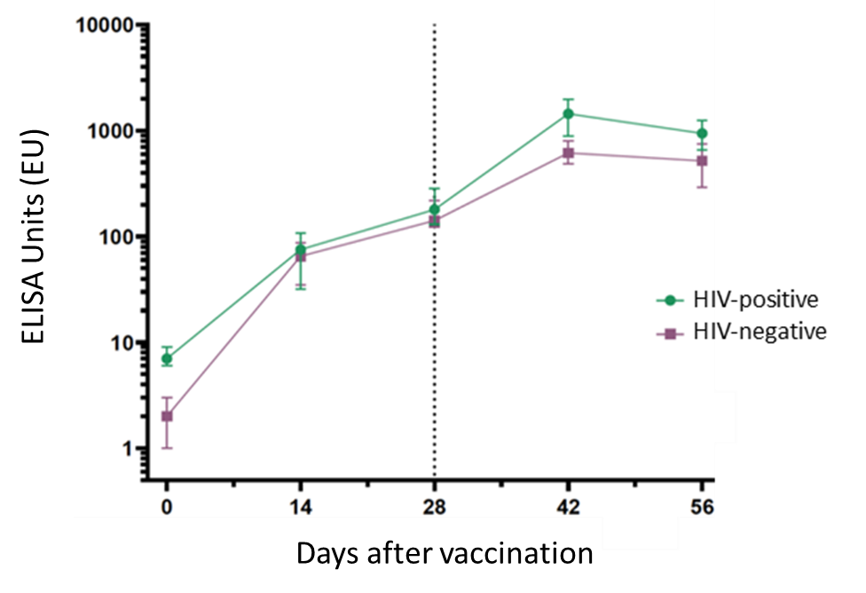 Chart showing antibody responses after vaccination in HIV-positive and HIV-negative men