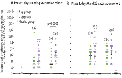 Titers of neutralizing antibodies after 3 µg or 6 µg doses of CoronaVac or placebo given on days 0 and 14 and days 0 and 28 in the phase 1 trial
