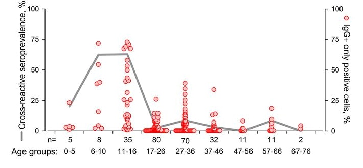 Figure shows prevalence of SARS CoV-2 S-cross-reactive antibodies in age groups and frequency of cells expressing spike protein.