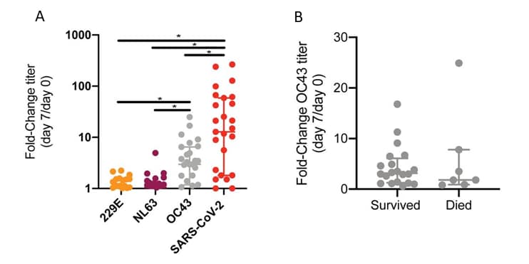 A Fold change in IgG titer against S protein from seasonal human coronaviruses 229E, NL63, and OC43, and SARS-CoV-2 from Day 0 to Day 7 after hospitalization (p less than 0.04). B Fold change in OC43 S-reactive antibodies in patients who survived or died by day 28 of hospitalization
