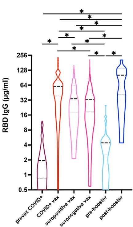 Figure showing median antibody concentrations