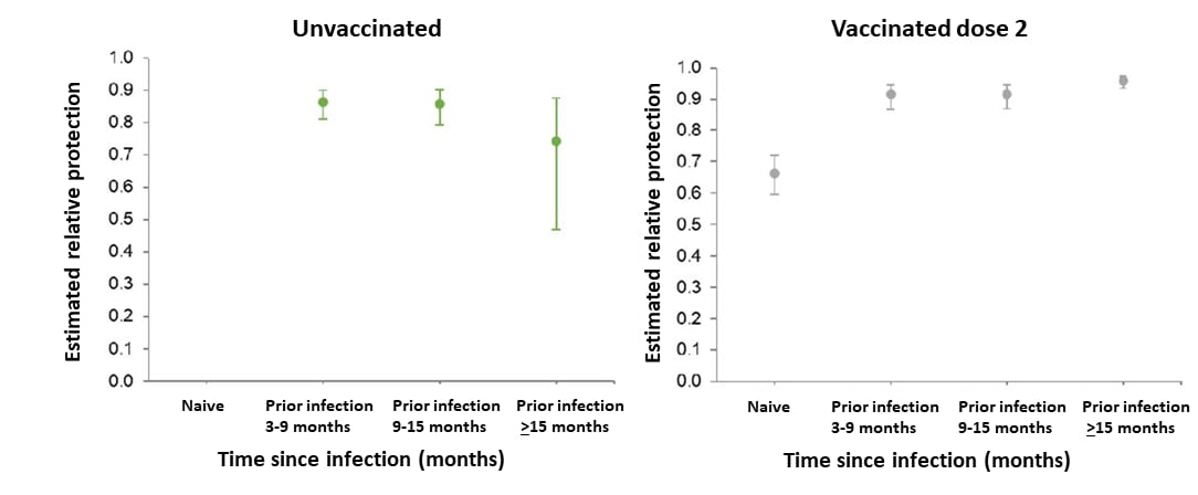 Graphs showing estimated relative protection for unvaccinated persons and persona vaccinated with 2 doses of BNT162b2