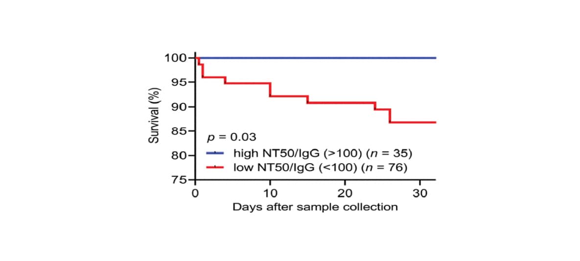 Survival probability (vertical axis) over 30 days (horizontal axis) for patients with high or low neutralizing potency, indexed by neutralizing titer at 50 percent / IgG titer
