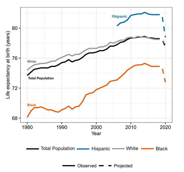 Chart, line chart of life expectancy by race/ethnicity.