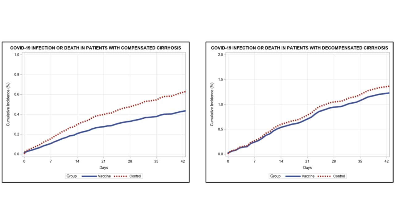 Graphs showing COVID-19 infection or death in patients with compensated and decompensated cirrhosis