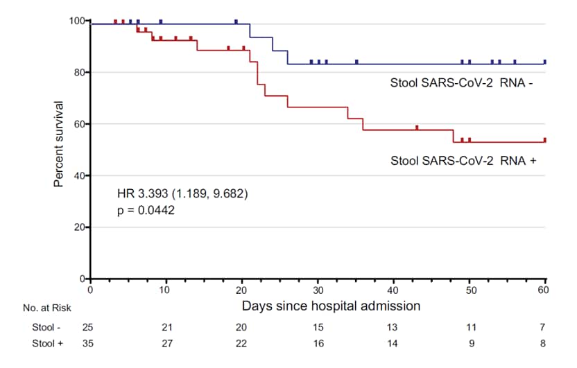 Chart showing survival curve of patients with and without fecal SARS-CoV-2