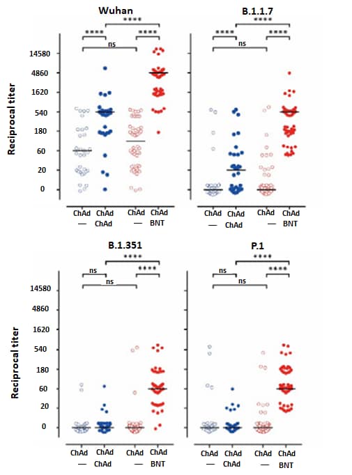 Charts showing reciprocal titers of neutralizing antibodies against SARS-CoV-2 variants