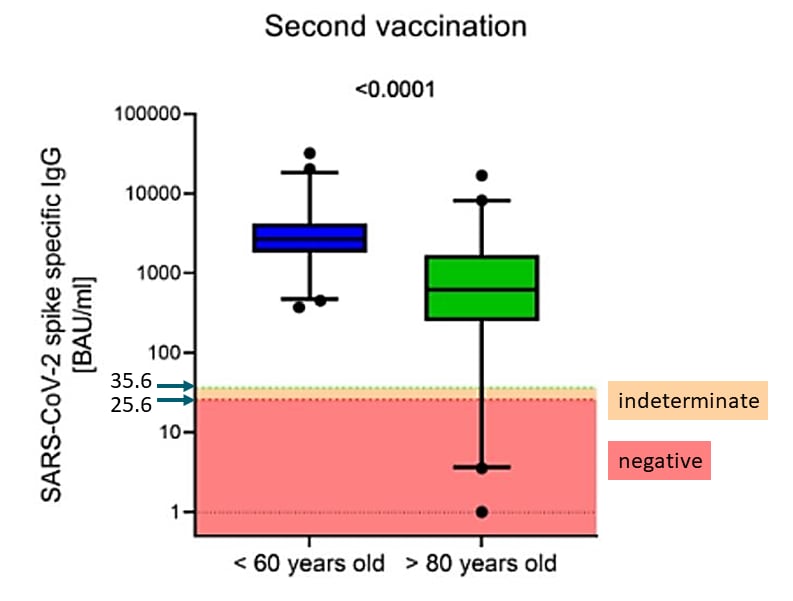 Chart, box and whisker chart showing antibodies after second vaccination