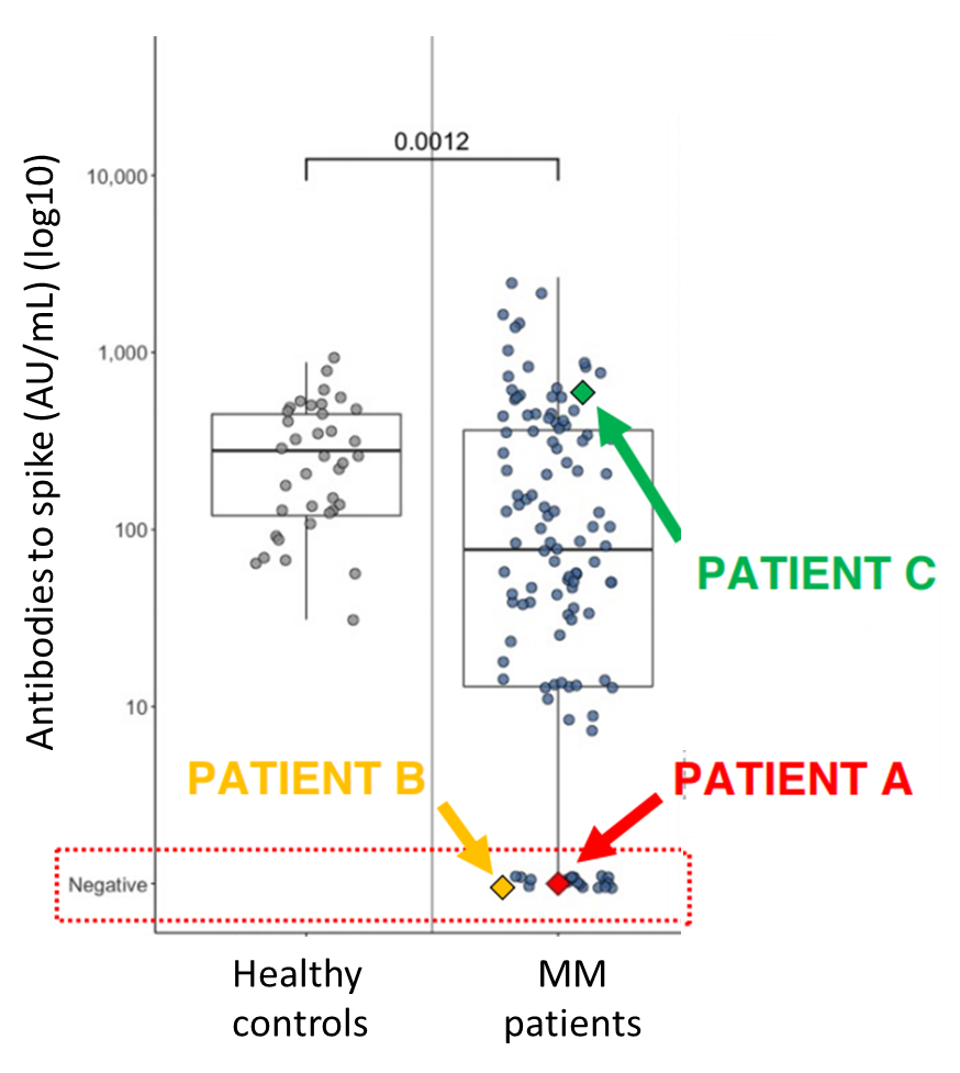 Chart showing antibody titers among healthy controls and multiple myeloma patients after second dose of mRNA vaccine