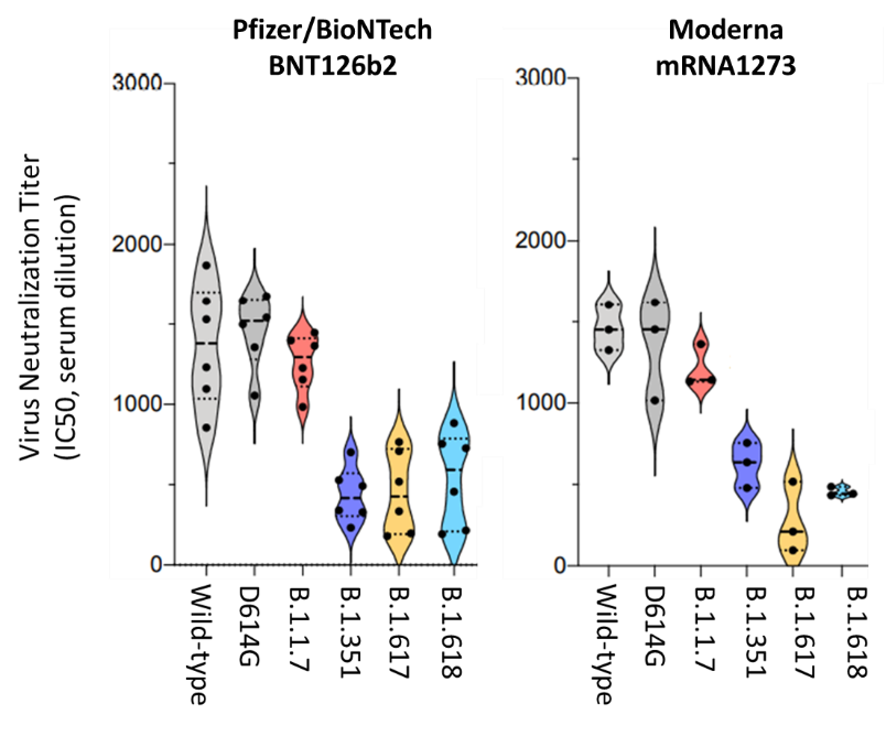 Chart showing neutralizing antibodies after vaccination for wild-type SARS-CoV-2 and 5 variants
