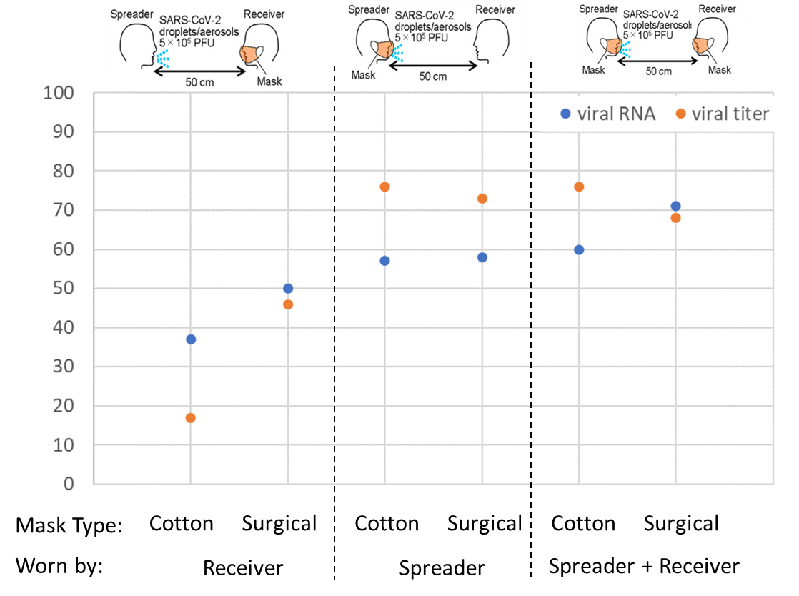 Percentage reduction in viral titer and viral RNA with cotton or surgical masks worn by “receiver” alone, “spreader” alone, or both “receiver” and “spreader”, compared with no masks.
