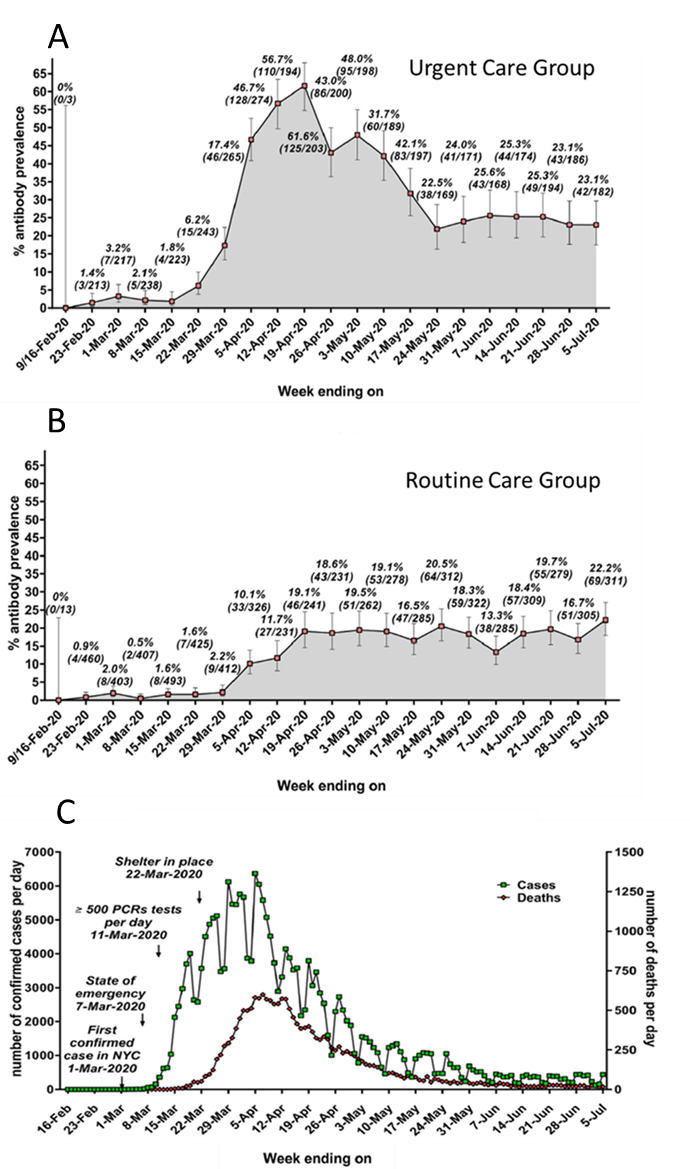 Serum antibody prevalence in the UC group, A, and in the RC group, B, and number of confirmed cases/day and number of deaths per day, between February and July 2020 ,C.