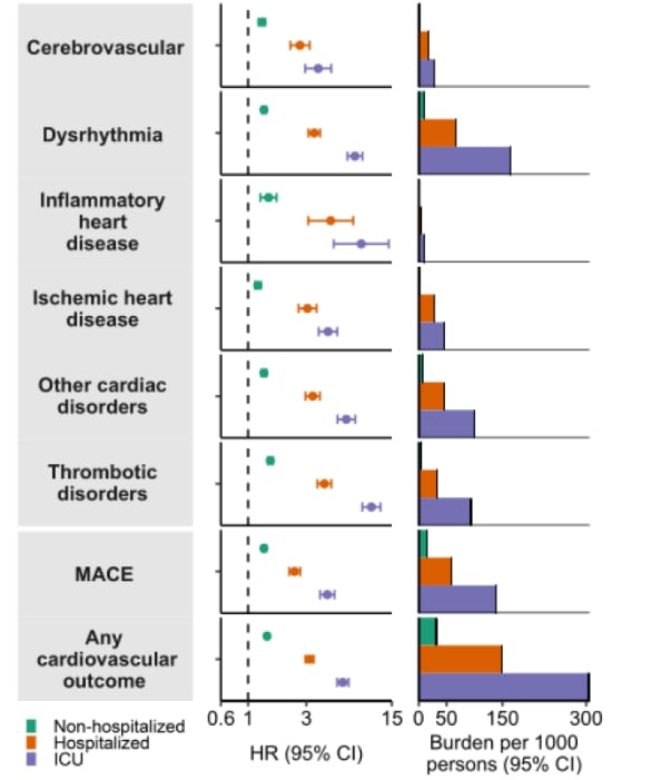 Charts showing adjusted hazard ratios for cerebrovascular outcomes, dysrhythmia, inflammatory heart disease etc.