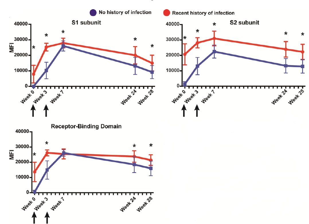 Graphs showing antibody levels over time