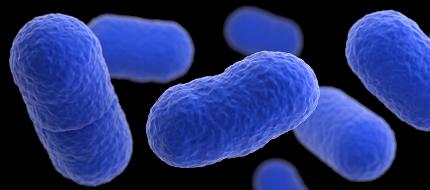 CDC: Listeria Outbreak with Unknown Food Source