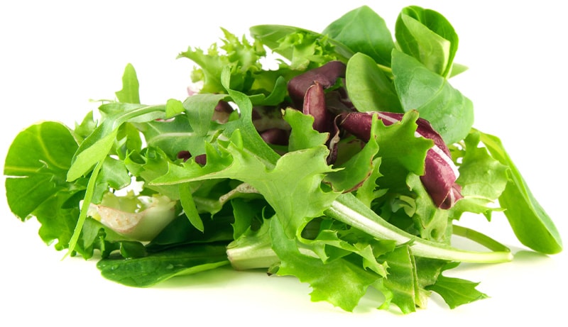 Leafy greens on a white background.