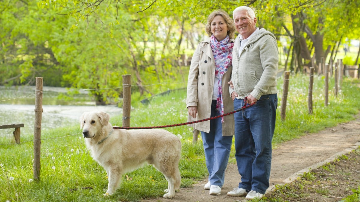 un hombre y una mujer paseando a su perro