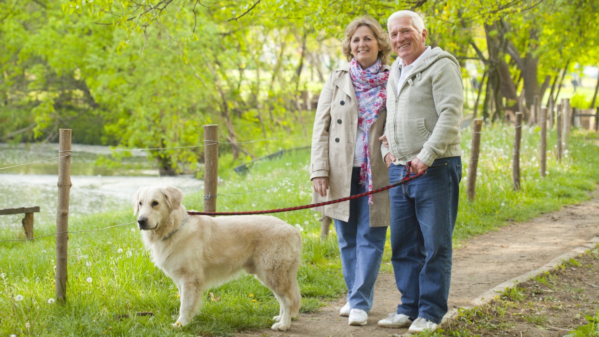 a couple walking their dog