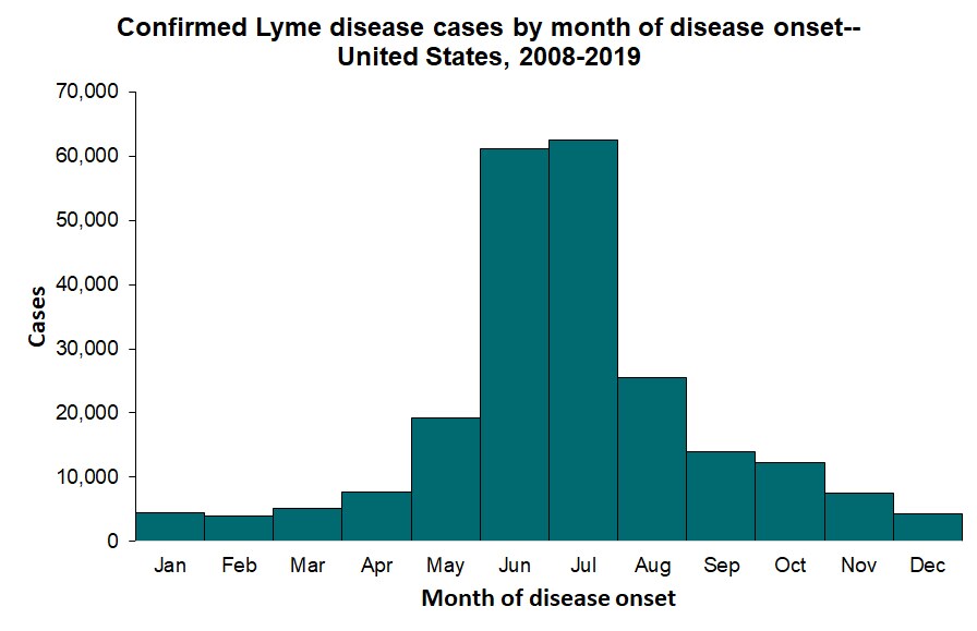 While reported cases of Lyme disease can occur year-round, May, June, July, and August are the peak months for being diagnosed with Lyme disease, with June and July being the peak months.  April, September, October, and November have far fewer cases than the summer months, but December, January, February, and March have the fewest cases of reported Lyme disase.