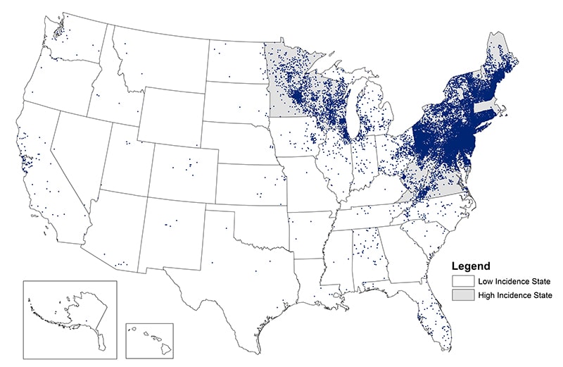 Map of the United States showing reported cases of lyme disease.  The cases are concentrated in the north east quarter of the country.