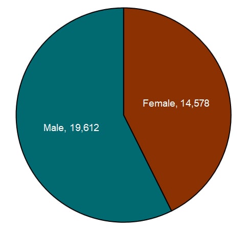 Lyme disease—reported confirmed and probable cases by sex of patient, United States, 2019: Male - 19,612, Female - 14,578