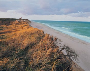Photo of a beach