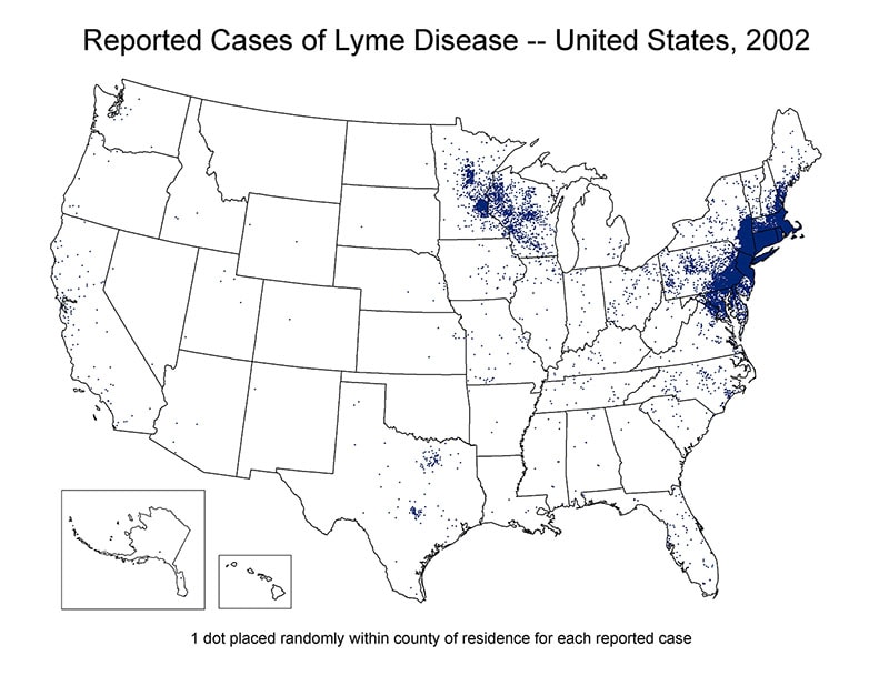 Map of the United States showing reported cases of Lyme Disease 2002. Cases are concentrated in the north east region of the country.