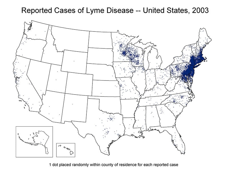 Map of the United States showing reported cases of Lyme Disease 2003. Cases are concentrated in the north east region of the country.