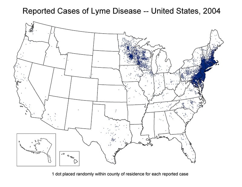Map of the United States showing reported cases of Lyme Disease 2004. Cases are concentrated in the north east region of the country.