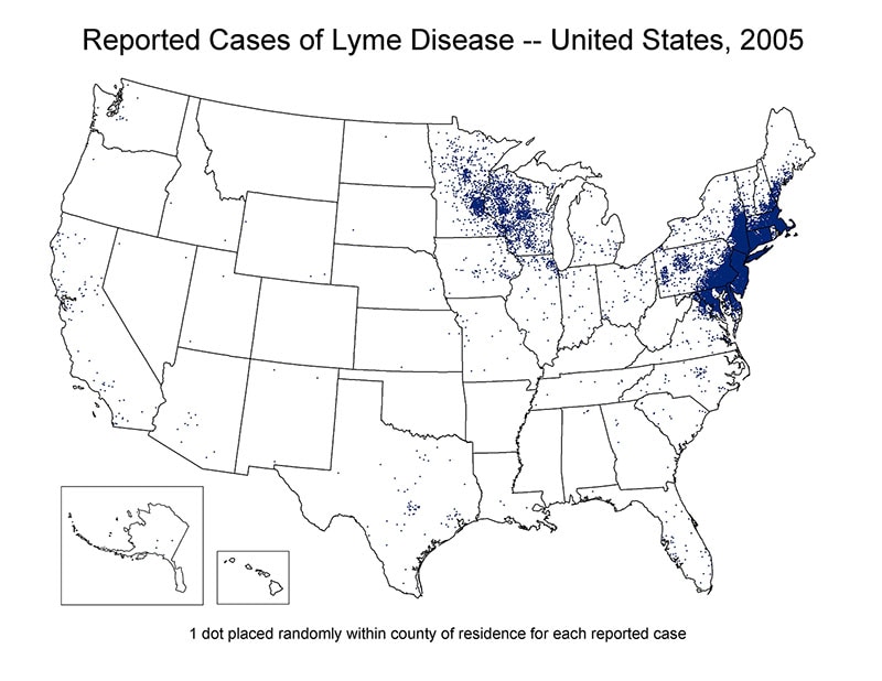 Map of the United States showing reported cases of Lyme Disease 2005. Cases are concentrated in the north east region of the country.