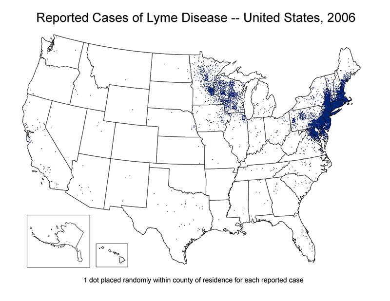 Map of the United States showing reported cases of Lyme Disease 2006. Cases are concentrated in the north east region of the country.