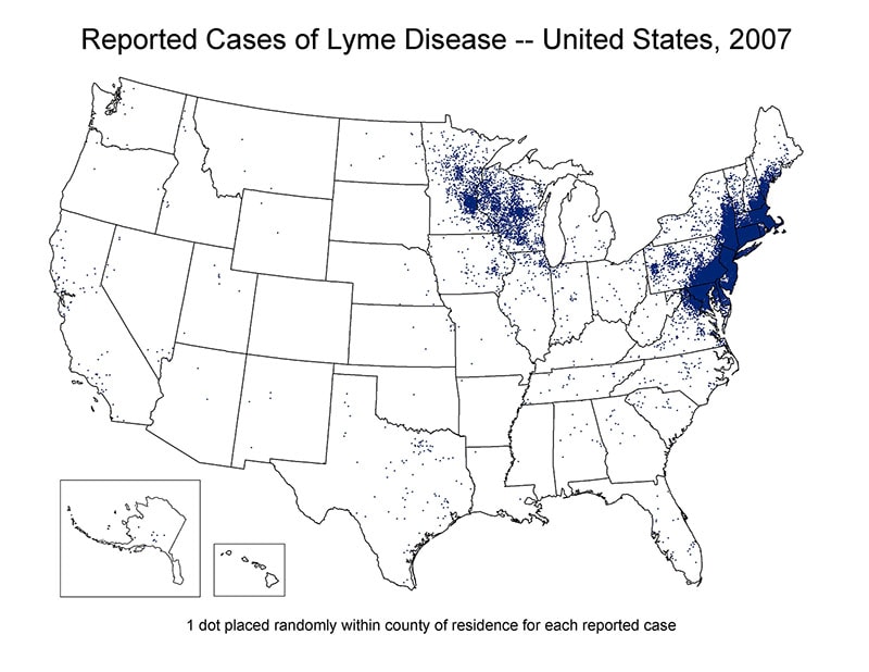 Map of the United States showing reported cases of Lyme Disease 2007. Cases are concentrated in the north east region of the country.