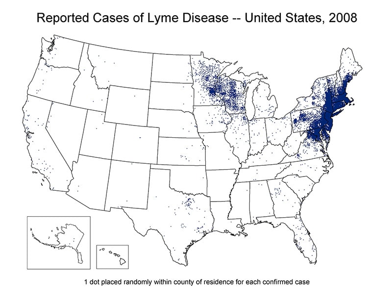 Map of the United States showing reported cases of Lyme Disease 2008. Cases are concentrated in the north east region of the country.