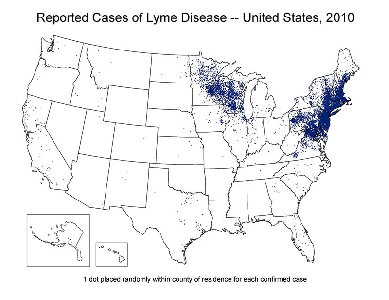 Map of the United States showing reported cases of Lyme Disease 2010. Cases are concentrated in the north east region of the country.
