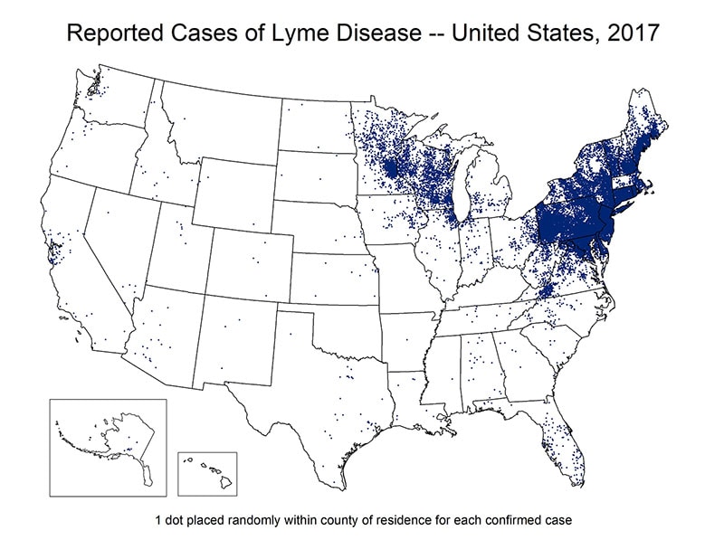 Map of the United States showing reported cases of Lyme Disease 2017. Cases are concentrated in the north east region of the country.