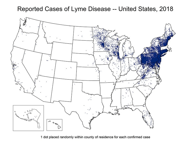 Map of the United States showing reported cases of Lyme Disease 2018. Cases are concentrated in the north east region of the country.