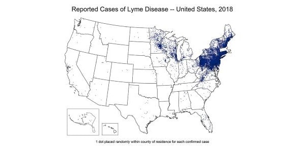 Data and Surveillance | Lyme Disease | CDC