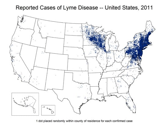 U.S. map reported cases of Lyme Disease at a county-wide level