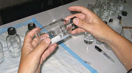 Image of the bioassay being performed.
