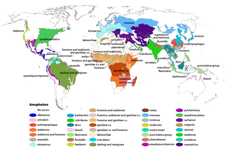 Map showing which malaria vectors populate various parts of the world