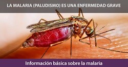 CDC-Malaria-Program-2024