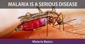 CDC-Malaria-Program-2024