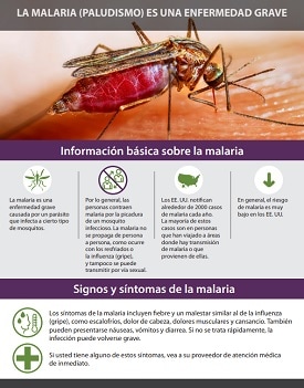La malaria (paludismo) es una enfermedad grave